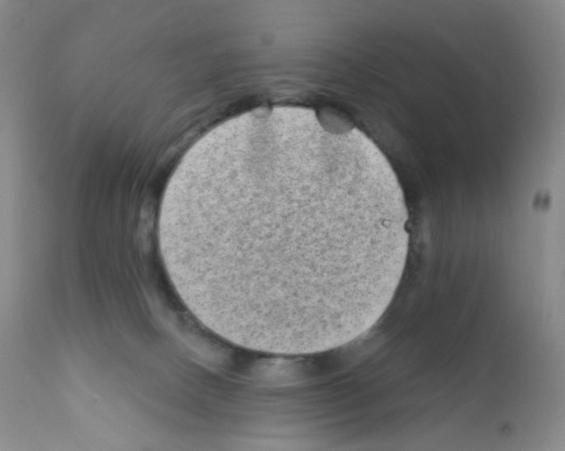 X0000111790082200909031208