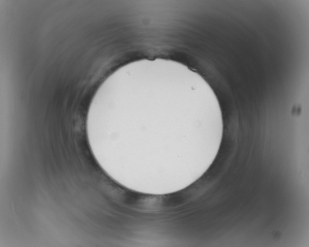 X0000111790084200909031208