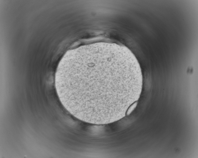 X0000111790085200909031208