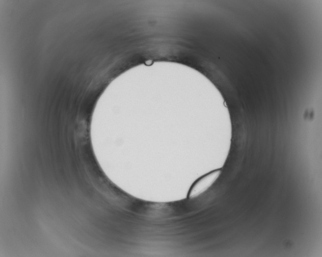 X0000111790087200909031208