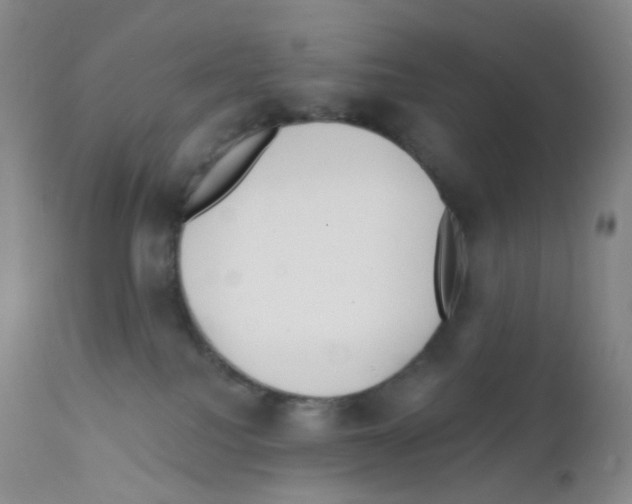 X0000111790088200909031208