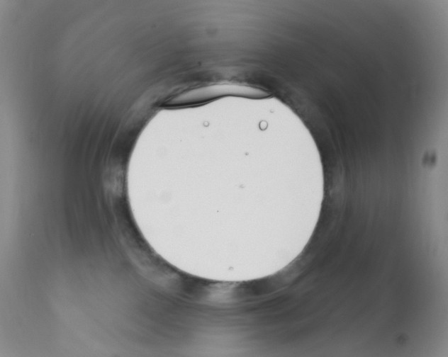 X0000111790090200909031208