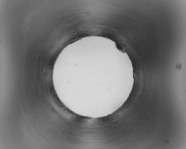 X0000111790092200909031208