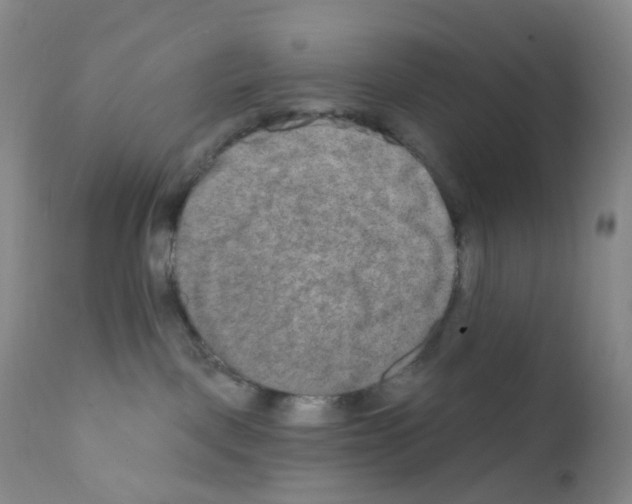 X0000111790093200909031208