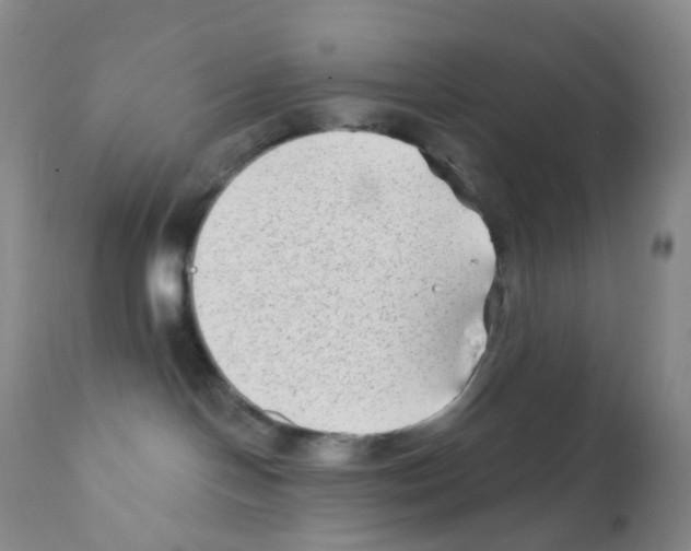 X0000111790094200909031208