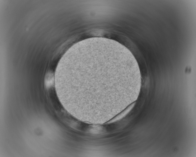 X0000111790095200909031208