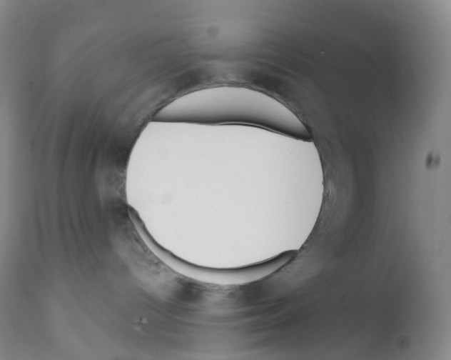 X0000111790096200909031208