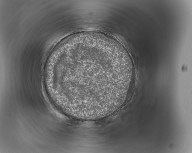 X0000111790097200909031207