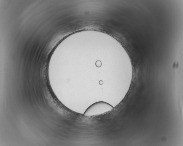 X0000111790098200909031207