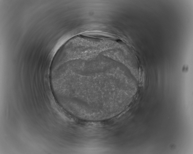 X0000111790099200909031207