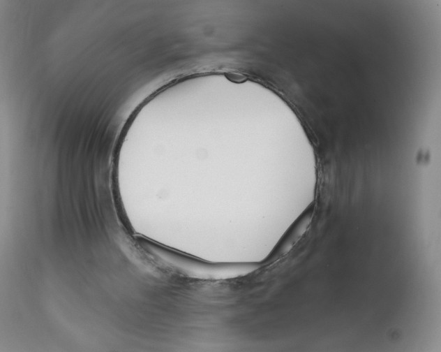 X0000111790100200909031207