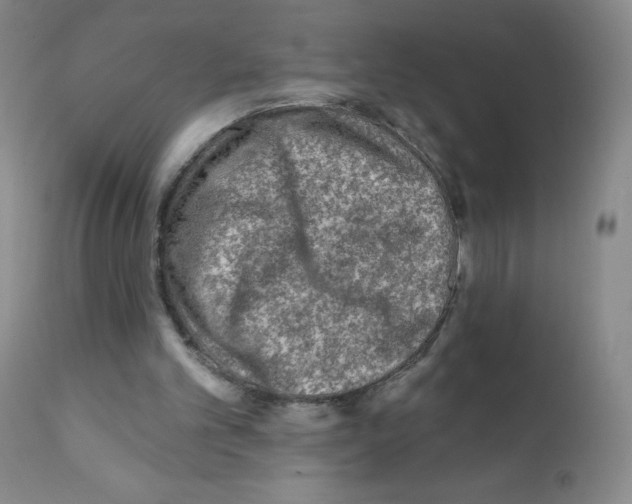 X0000111790101200909031207