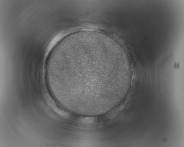 X0000111790102200909031207