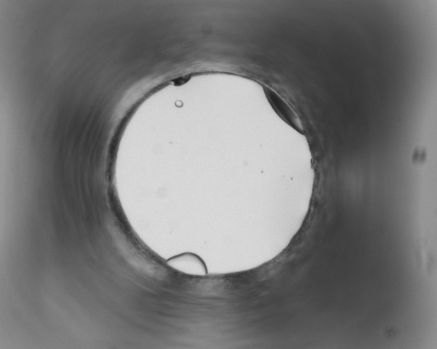 X0000111790104200909031207