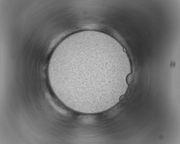 X0000111790106200909031207