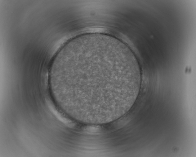 X0000111790110200909031207