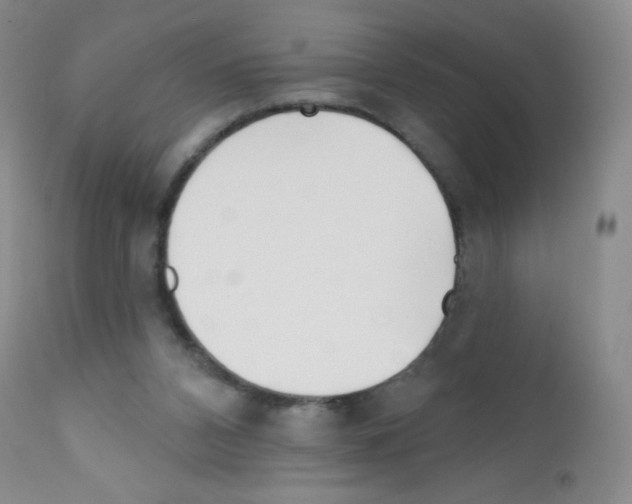 X0000111790112200909031207