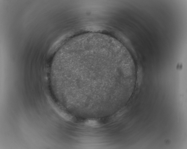 X0000111790114200909031207