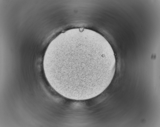 X0000111790115200909031207