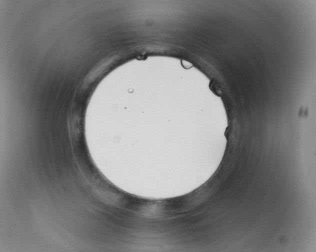 X0000111790116200909031207