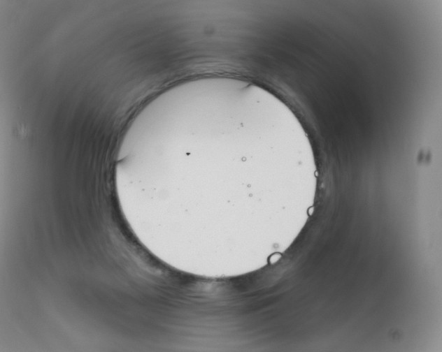 X0000111790117200909031207