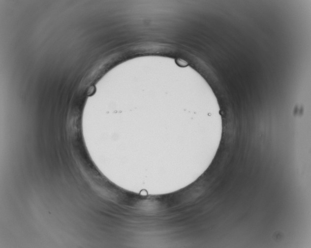 X0000111790119200909031207