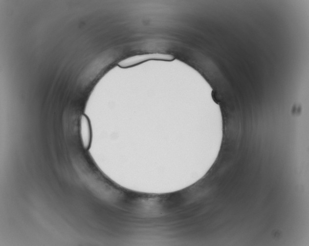 X0000111790120200909031207