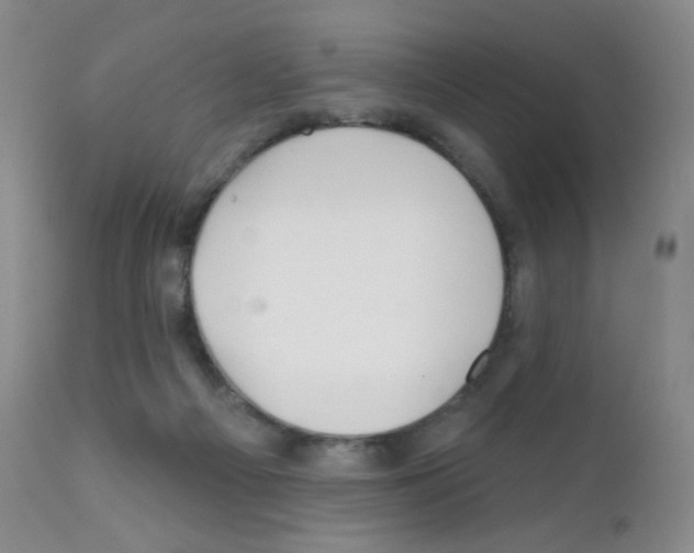 X0000111790121200909031207