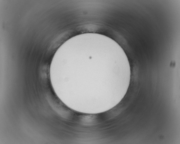 X0000111790122200909031207