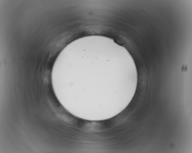 X0000111790125200909031207