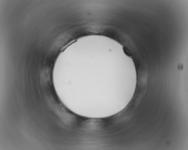 X0000111790128200909031207