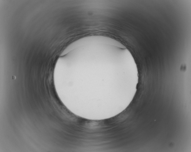 X0000111790129200909031207