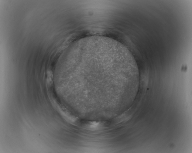 X0000111790130200909031207