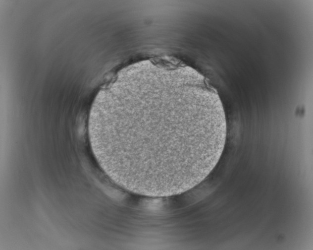 X0000111790131200909031207