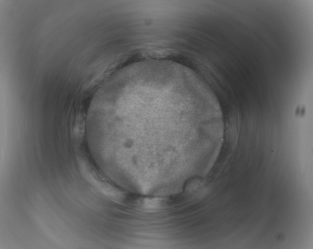 X0000111790134200909031207