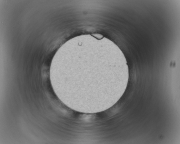 X0000111790135200909031207