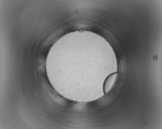 X0000111790138200909031207