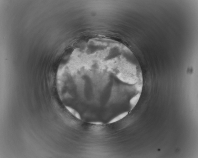 X0000111790139200909031207