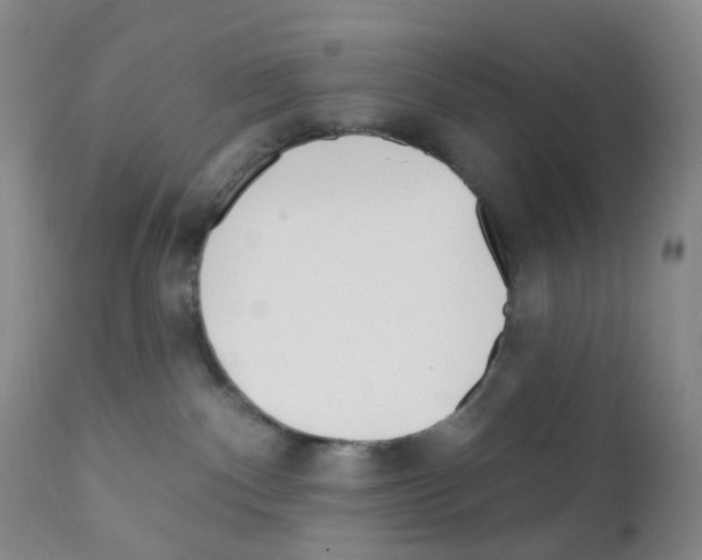 X0000111790140200909031207