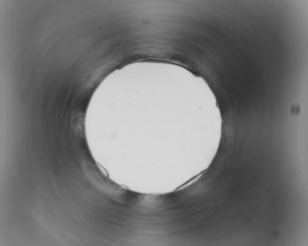 X0000111790141200909031207