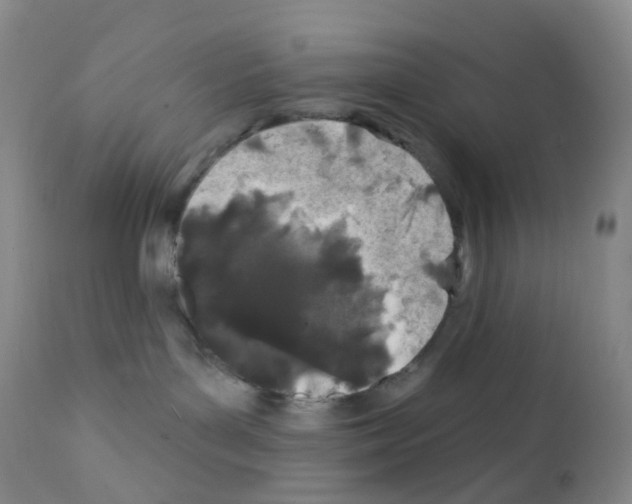 X0000111790143200909031207