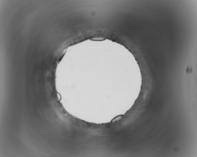 X0000111790144200909031207