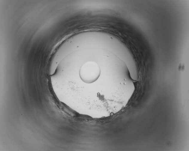 X0000111790146200909031206