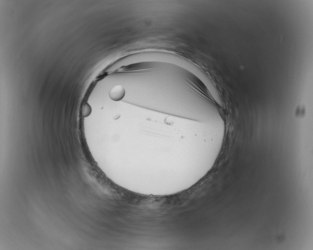 X0000111790148200909031206