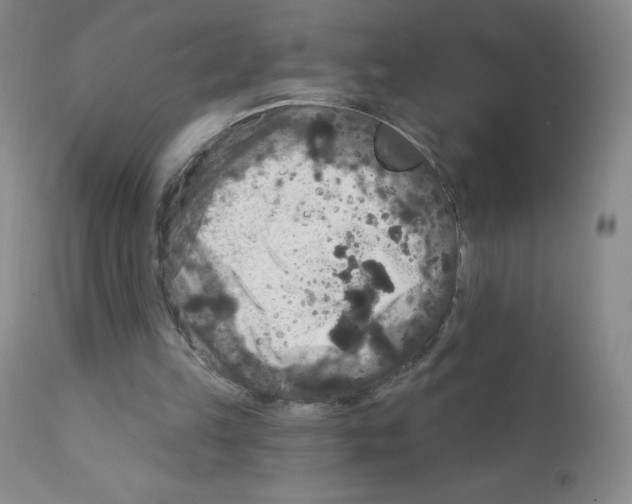 X0000111790149200909031206