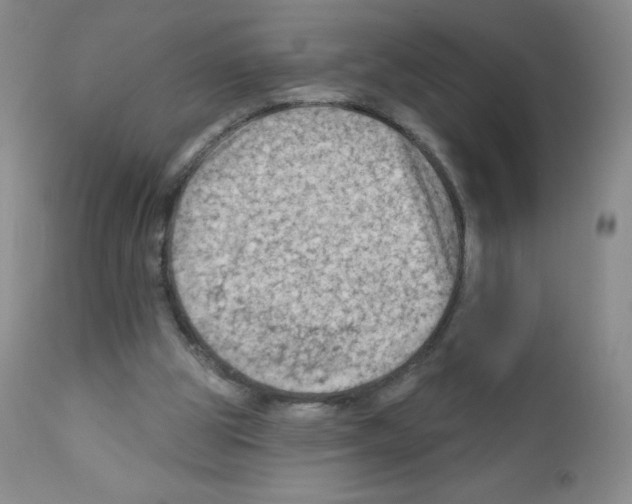 X0000111790153200909031206