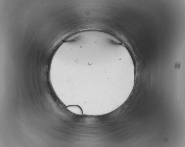 X0000111790154200909031206