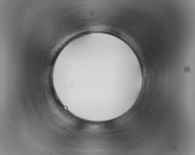 X0000111790155200909031206