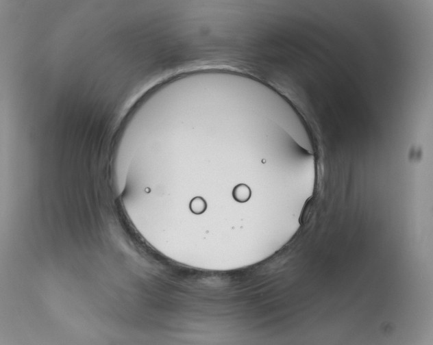 X0000111790156200909031206