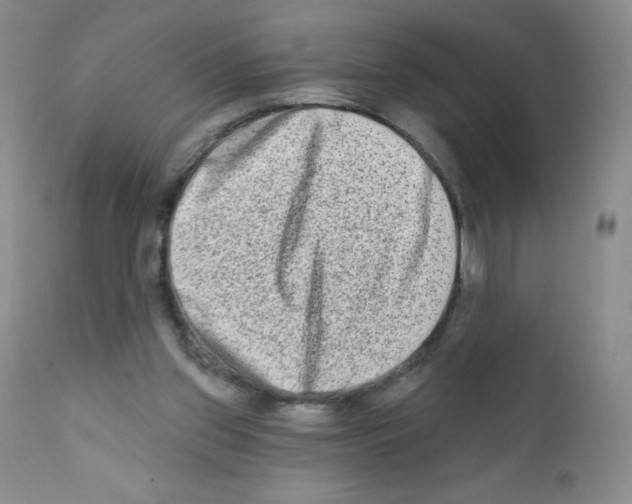 X0000111790157200909031206